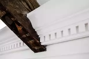 41 Pitt St, Charleston, SC 29401 - Photo 67