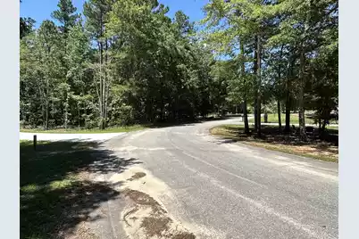 00 Sorin Circle, Elloree, SC 29047 - Photo 5