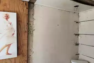 2099 Legrand Smoak St, Cordova, SC 29039 - Photo 79