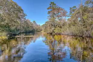 4401 Prices Bridge Ln, Walterboro, SC 29488 - Photo 57