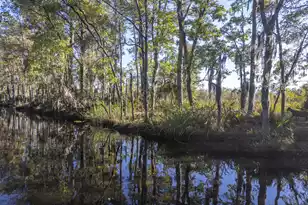 4401 Prices Bridge Ln, Walterboro, SC 29488 - Photo 39