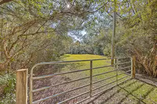 4401 Prices Bridge Ln, Walterboro, SC 29488 - Photo 45