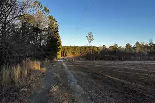 1260 Spring Plains Rd, Cross, SC 29436 - Photo 19