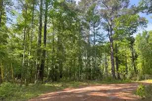 0 Robin Dr, Bamberg, SC 29003 - Photo 1