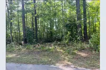 0 Robin Drive, Bamberg, SC 29003 - Photo 3