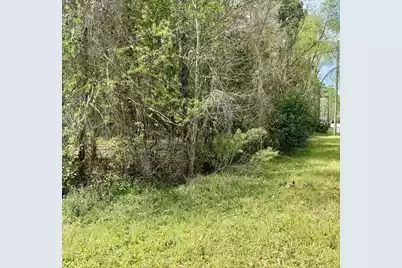 0 Washington Klein Street, Walterboro, SC 29488 - Photo 7