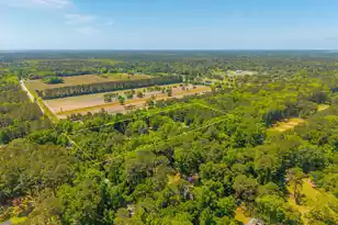 2234 River Rd, Johns Island, SC 29455 - Photo 3