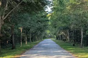 1044 Towhee Ln, McClellanville, SC 29458 - Photo 3