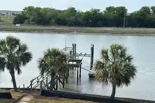 11 Tabby Ln, Isle Of Palms, SC 29451 - Photo 5