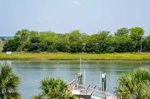 11 Tabby Ln, Isle Of Palms, SC 29451 - Photo 127