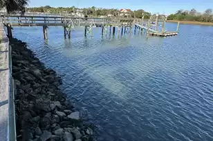 11 Tabby Ln, Isle Of Palms, SC 29451 - Photo 55