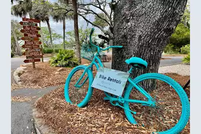 208 Sea Cloud Circle, Edisto Island, SC 29438 - Photo 39