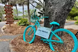 208 Sea Cloud Cir, Edisto Island, SC 29438 - Photo 39