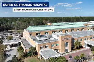 1159 Reserve Ln, Awendaw, SC 29429 - Photo 59