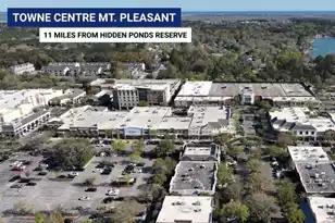 1159 Reserve Ln, Awendaw, SC 29429 - Photo 63