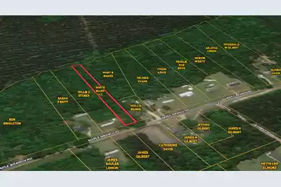 0 Maple Branch Road #Road, Reevesville, SC 29471 - Photo 3