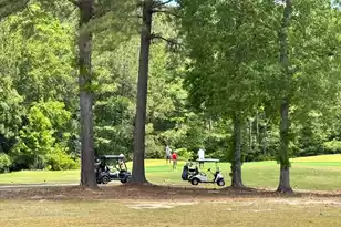 1915 Deercreek Dr, Manning, SC 29102 - Photo 27