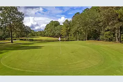 1915 Deercreek Drive, Manning, SC 29102 - Photo 31