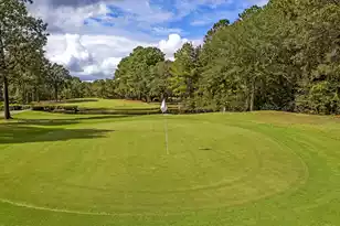 1915 Deercreek Dr, Manning, SC 29102 - Photo 31