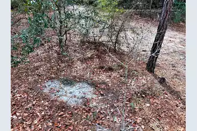 2400 River Road, Greeleyville, SC 29056 - Photo 9