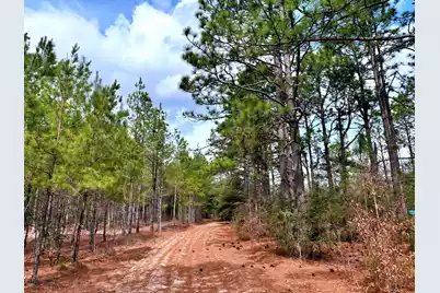 2400 River Road, Greeleyville, SC 29056 - Photo 3