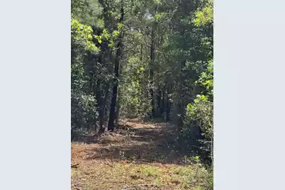 1-F Mt Carmel Road, Walterboro, SC 29488 - Photo 3