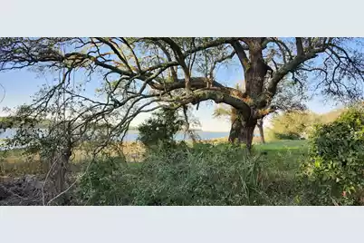 2107 Sol Legare Road, Charleston, SC 29412 - Photo 9