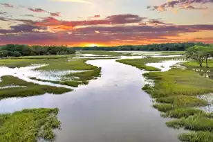 000 Remington Trail, Johns Island, SC 29455 - Photo 35