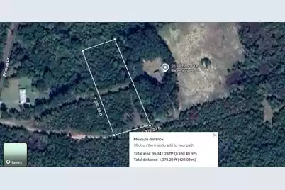 0 Primus Drive Drive, Saint George, SC 29477 - Photo 11