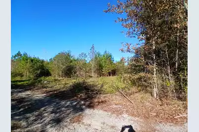 0 Primus Drive Drive, Saint George, SC 29477 - Photo 3