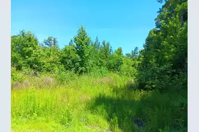 0 Primus Drive Drive, Saint George, SC 29477 - Photo 5