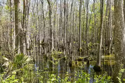 4855 Retriever Road, Wadmalaw Island, SC 29487 - Photo 67
