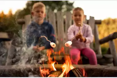 459 White Magnolia Street, Moncks Corner, SC 29461 - Photo 19