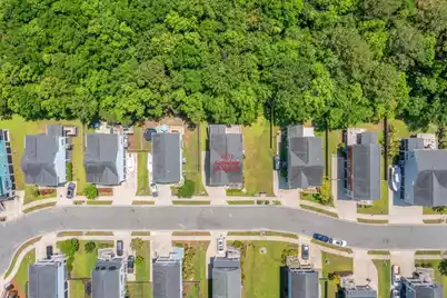 3751 Copahee Sound Drive, Mount Pleasant, SC 29466 - Photo 59