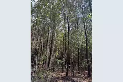 1-A Mt. Carmel Road, Walterboro, SC 29488 - Photo 5