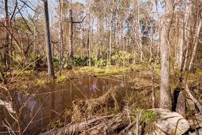 4294 River Road, Johns Island, SC 29455 - Photo 15