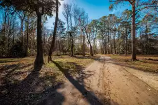 4294 River Rd, Johns Island, SC 29455 - Photo 43