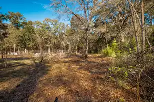 4294 River Rd, Johns Island, SC 29455 - Photo 61