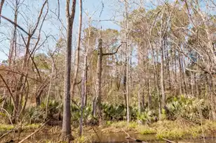 4294 River Rd, Johns Island, SC 29455 - Photo 13