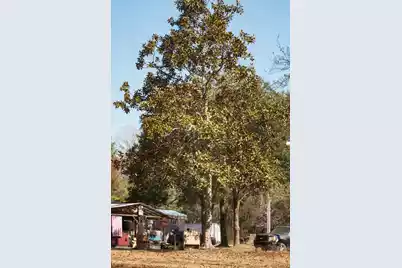 4294 River Road, Johns Island, SC 29455 - Photo 23