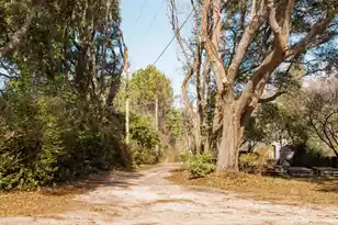 4294 River Rd, Johns Island, SC 29455 - Photo 5