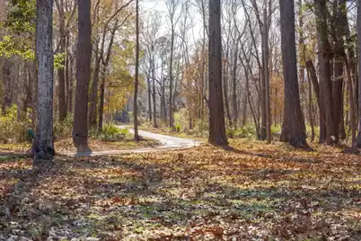 4294 River Road, Johns Island, SC 29455 - Photo 29