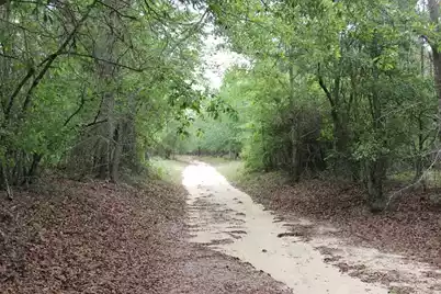 00 Stacey Bridge Rd, Orangeburg, SC 29118 - Photo 5