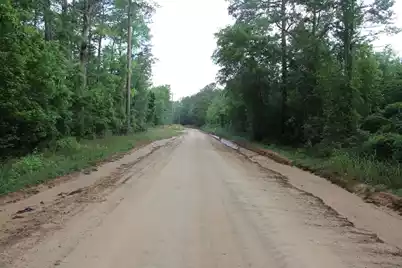 00 Stacey Bridge Rd, Orangeburg, SC 29118 - Photo 3