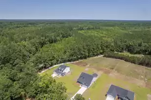 306 Mizell Rd, Dorchester, SC 29437 - Photo 47