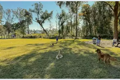 140 Falaise Street, Charleston, SC 29492 - Photo 9