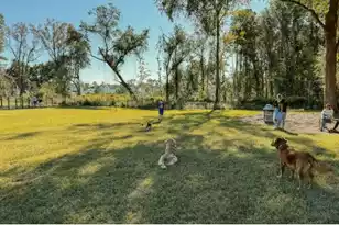 140 Falaise St, Charleston, SC 29492 - Photo 9