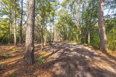0 Dupre Road, McClellanville, SC 29458 - Photo 17