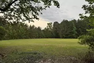 351 Duncan Chapel Rd, Harleyville, SC 29448 - Photo 83