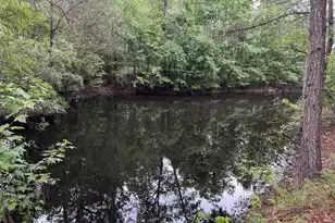 351 Duncan Chapel Rd, Harleyville, SC 29448 - Photo 77